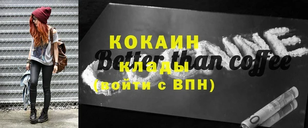 гашик Костерёво