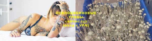 кокс Корсаков