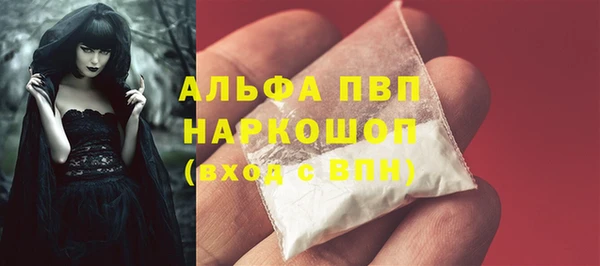 гашик Костерёво
