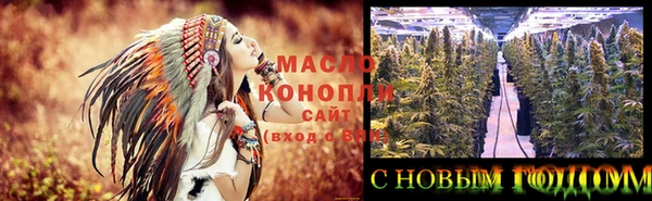 гашик Костерёво