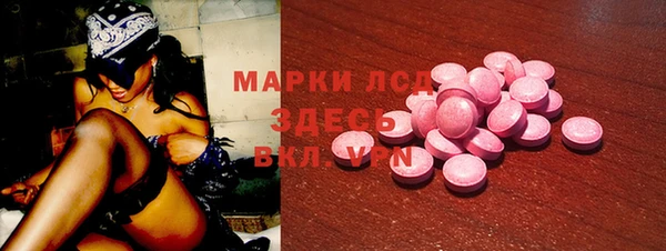 гашик Костерёво