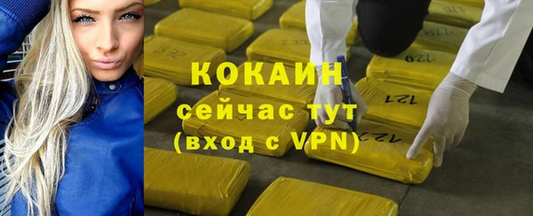 гашик Костерёво