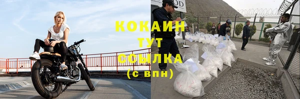 гашик Костерёво