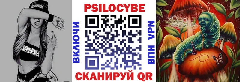 что такое   Междуреченск  Псилоцибиновые грибы ЛСД 