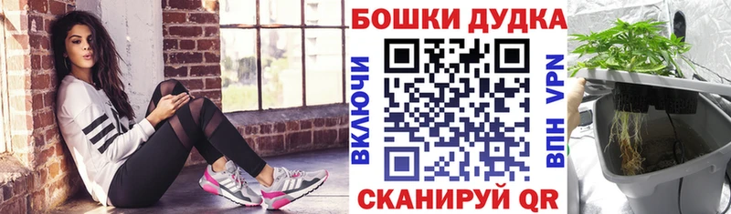 закладки  OMG маркетплейс  Бошки Шишки VHQ  Междуреченск 